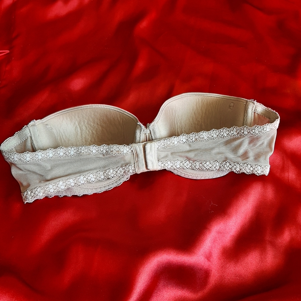 B. Tempted push up padded bra.